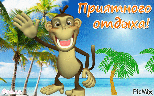 Открытка Хорошего отдыха, отпуска - Открытка с обезьяной на пляже | Красивая открытка #45
