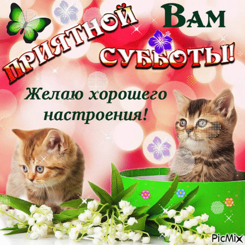Открытка Открытки на субботу - Открытка с котятами и лилиями | Красивая открытка #53