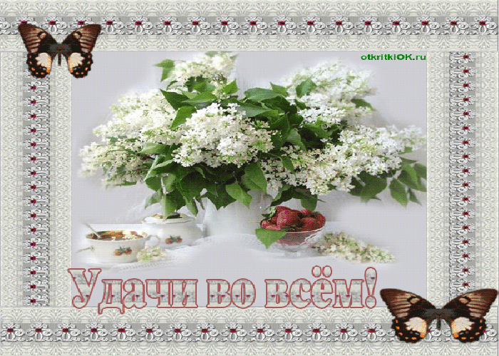 Открытка Открытки желаю удачи - Открытка с цветущей вишней и ягодами | Красивая открытка #160