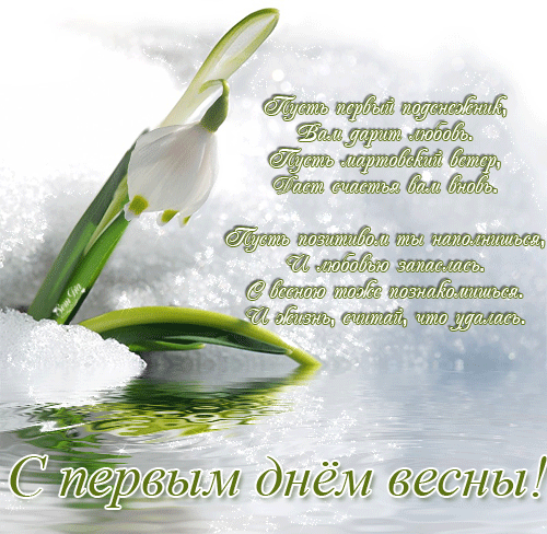 Открытка  С первым днем весны - Первые подснежники на снегу: открытка весны | Красивая открытка #12