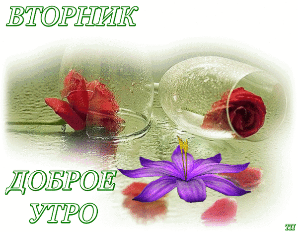 Открытка Открытки на вторник - Открытка с лилиями и розами | Красивая открытка #206