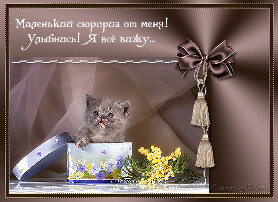 Открытка Открытки улыбнись - Котенок в коробке с цветами — открытка | Красивая открытка #118