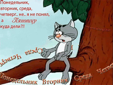 Открытка Открытки на понедельник - Анимация кота на дереве | Красивая открытка #152