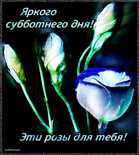 Открытка Открытки на субботу - Бутоны роз: нежные цветы для поздравлений | Красивая открытка #42