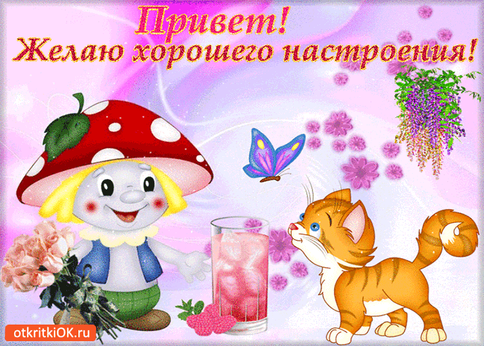 Открытка Привет - Открытка с грибом, котенком и цветами | Красивая открытка #194