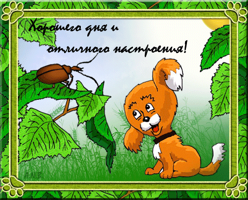Открытка Хорошего дня - Открытка с щенком и жуком на листьях | Красивая открытка #77