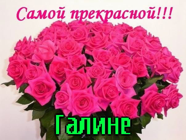 Открытка открытки с именем Галина  - Букет роз: нежные и красивые цветы для поздравлений | Красивая открытка #2
