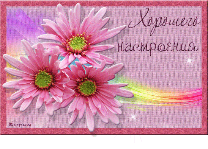Открытка хорошего настроения - Розовые цветы: открытка с нежным дизайном | Красивая открытка #81