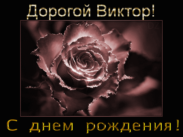 Открытка открытки с именем Виктор - Открытка с розой: С днем рождения! | Красивая открытка #168