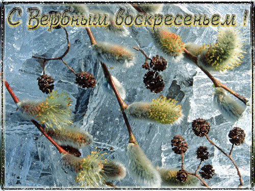 Открытка открытки с вербным воскресеньем  - Верба на льду: Красивая открытка к празднику | Красивая открытка #56