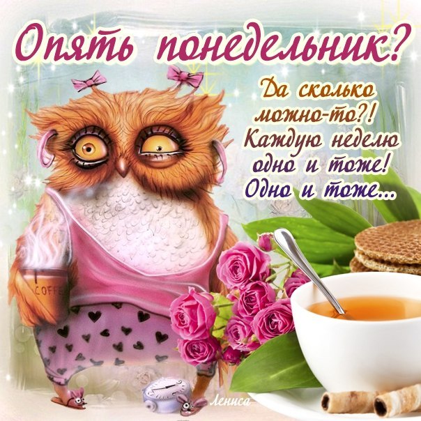 Открытка Удачного понедельника - Сова с кофе и цветами: оригинальная открытка | Красивая открытка #34
