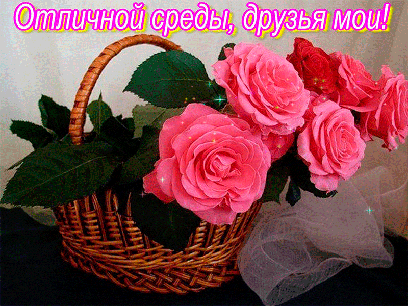 Открытка Открытки на среду - Розовые розы в плетёной корзине | Красивая открытка #125