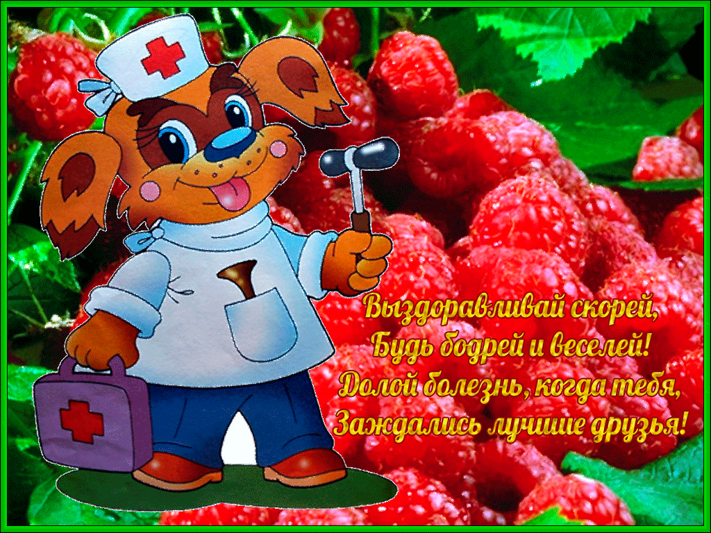 Открытка Выздоравливай - Весёлый пёс-медведь: открытка с юмором! | Красивая открытка #48