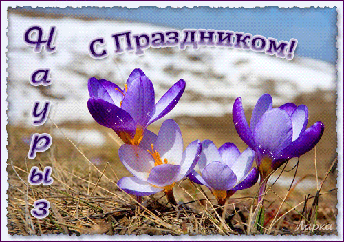 Открытка открытки на Наурыз - Открытка с фиалками на фоне снега | Красивая открытка #90