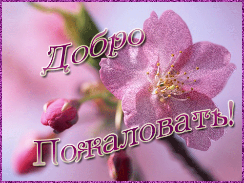 Открытка Открытки добро пожаловать - Цветущая вишня: нежная открытка | Красивая открытка #77