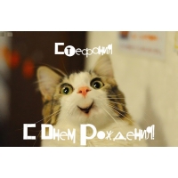Открытка открытки с именем Стефания - Открытка с котенком: С Днем Рождения! | Красивая открытка #12