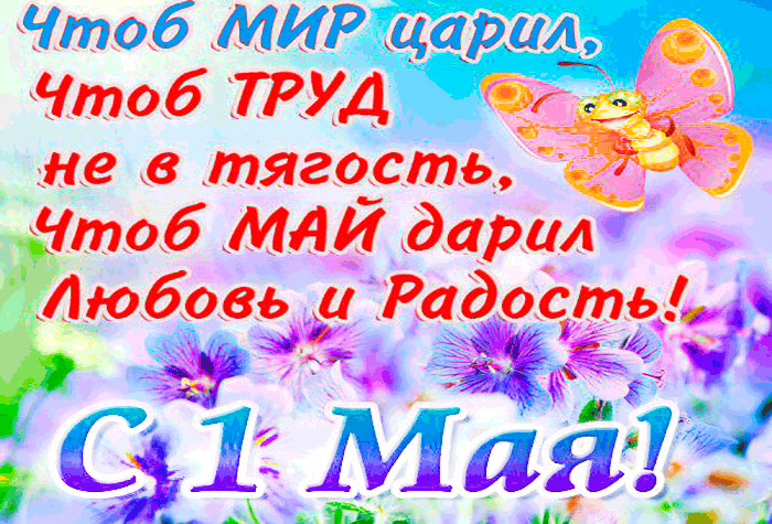 Открытка открытки на 1 мая - Открытка с цветами и бабочкой | Красивая открытка #67