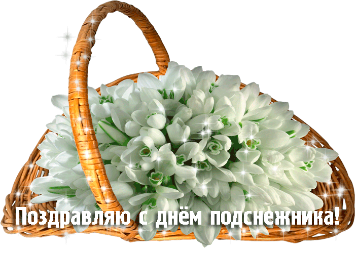 Открытка Открытки с днем подснежника - Открытка с подснежниками в плетеной корзине | Красивая открытка #2