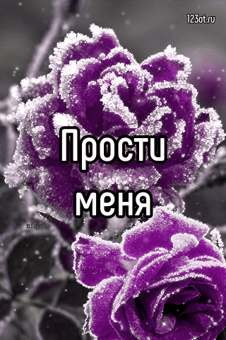 Открытка открытки с извинениями  - Розовые розы в инее: открытка с днем рождения | Красивая открытка #222