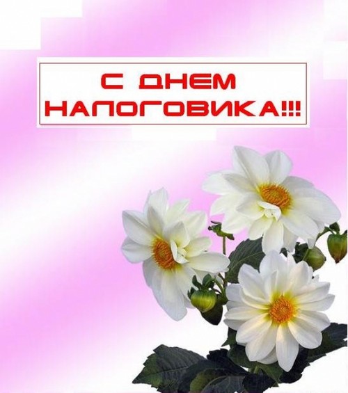 Открытка Открытки с днем работника налоговых органов - Белые цветы на открытке | Красивая открытка #21