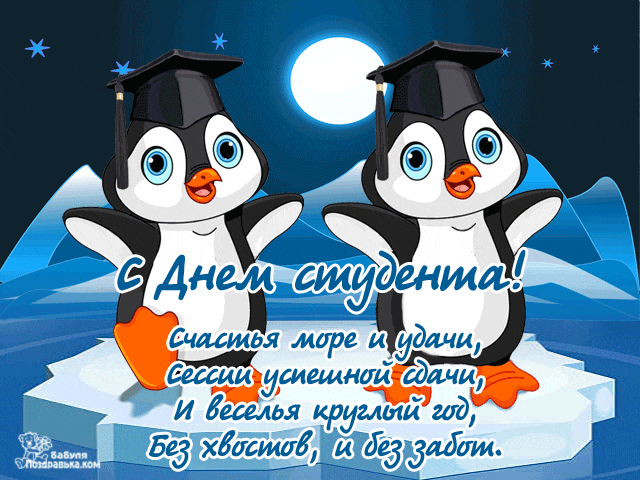Открытка День студента - Открытка с пингвинами: С днем студента! | Красивая открытка #47