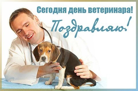 Открытка Открытки с днем ветеринара - Ветеринар и щенок: открытка с заботой | Красивая открытка #29