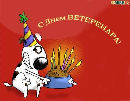Открытка Открытки с днем ветеринара - Открытка с собакой на день рождения | Красивая открытка #28
