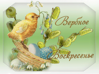 Открытка Вербное Воскресенье - Открытка с цыплёнком и вербой | Красивая открытка #124