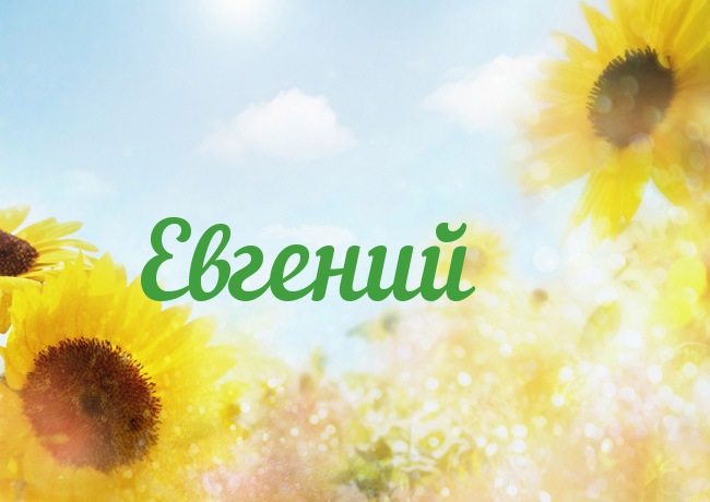 Открытка открытки с именем Евгений - Подсолнухи на фоне голубого неба | Красивая открытка #23