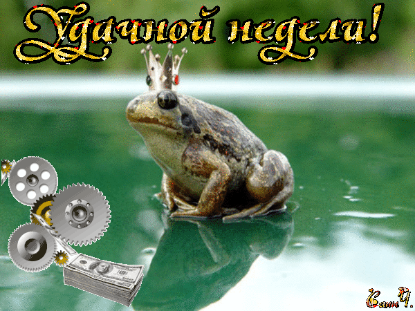 Открытка Открытки удачной недели - Лягушка в короне на воде: открытка с поздравлением | Красивая открытка #237