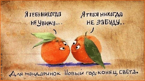 Открытка Открытки с прощаниями  - Два мандарина на Новый год: смешная открытка | Красивая открытка #33