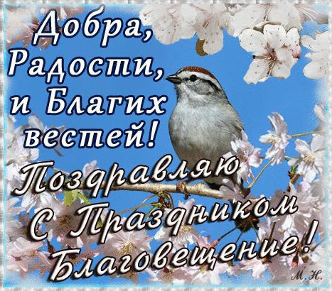 Открытка Благовещение - Птица на ветке цветущей вишни. Открытка с праздником. | Красивая открытка #40