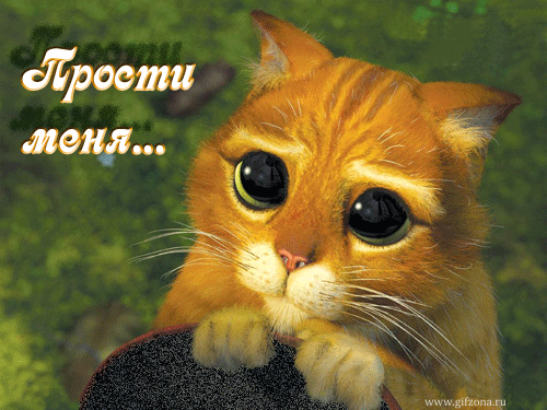 Открытка Прости - Кот в слезах: смешная открытка с котиком  Gifzona | Красивая открытка #121