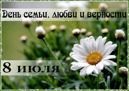 Открытка Открытки с днем семьи, любви и верности - Полевые цветы. Открытка с ромашками. | Красивая открытка #47