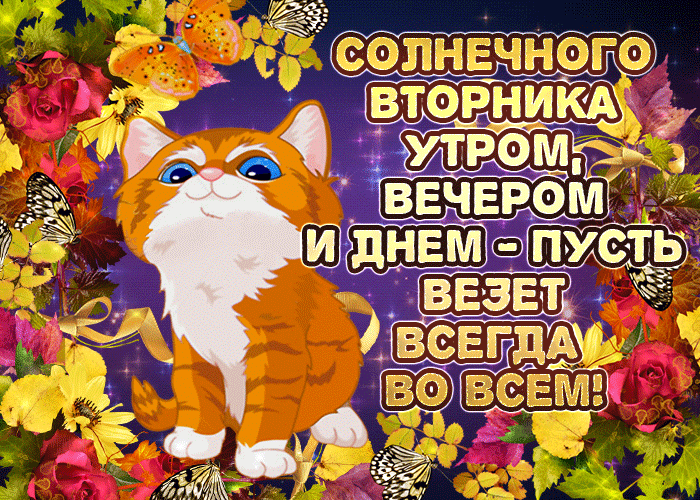 Открытка Открытки на вторник - Открытка с рыжим котенком среди цветов | Красивая открытка #87