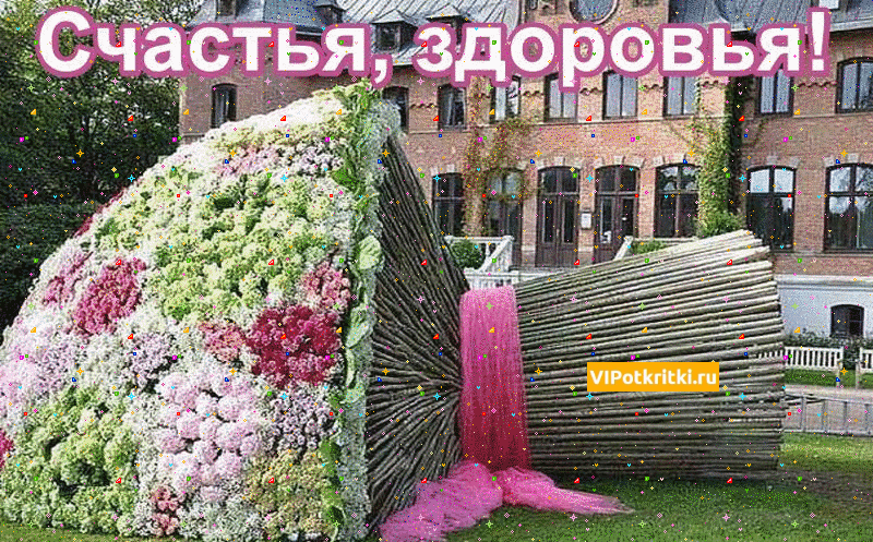 Открытка Открытки желаю здоровья - Цветочная инсталляция: фото для открытки | Красивая открытка #11