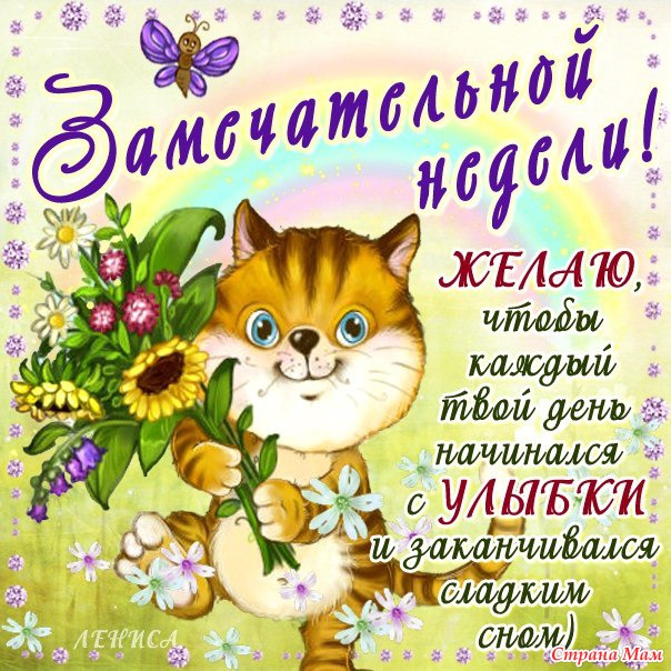 Открытка открытки с пожеланиями хорошей недели  - Открытка с котенком: милый подарок с цветами | Красивая открытка #3