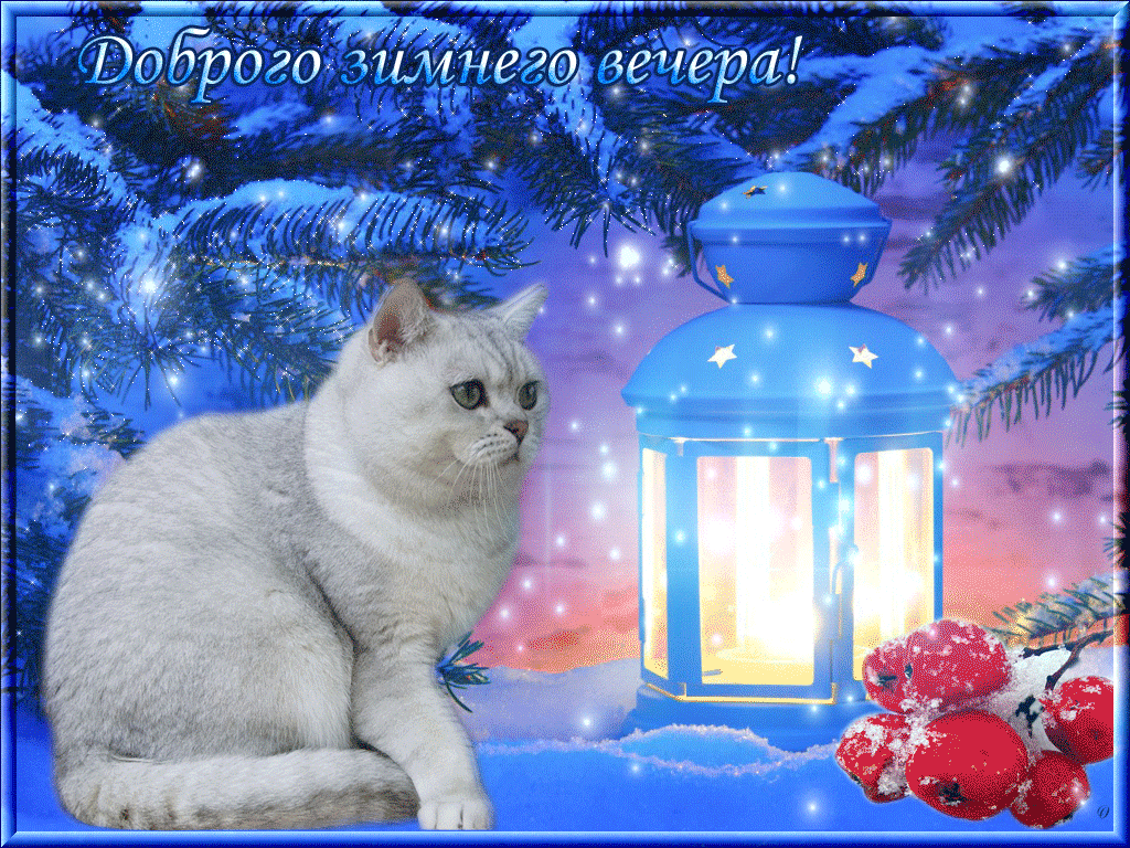 Открытка Добрый зимний вечер - Котенок, елочка и фонарь: Новогодняя открытка | Красивая открытка #28
