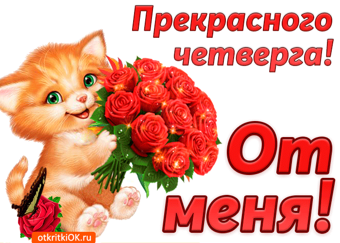 Открытка Открытки на четверг - Котенок с цветами: открытка с милым котенком | Красивая открытка #1