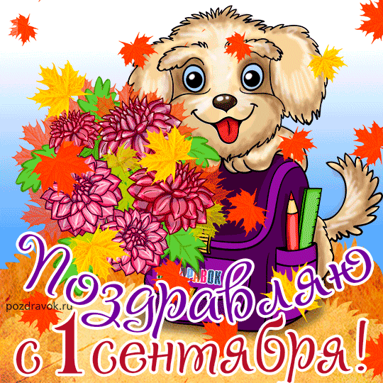 Открытка День знаний - Открытка с щенком: С Днем знаний! | Красивая открытка #105