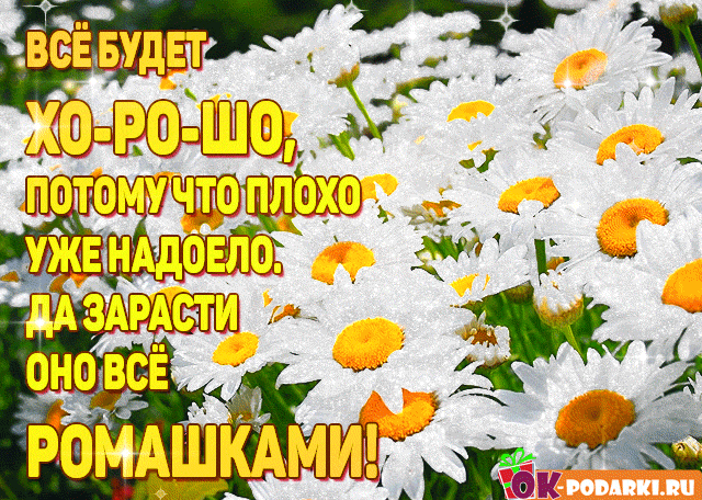 Открытка Открытки все будет хорошо - Полевые цветы: ромашки и лютики. Открытка с цветами. | Красивая открытка #37