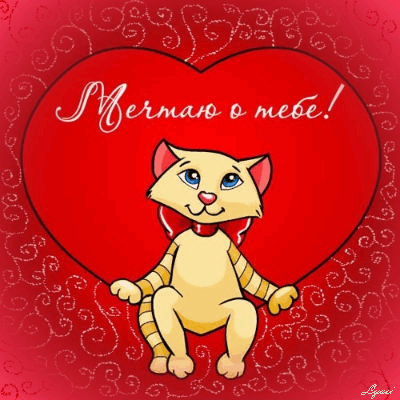Открытка Открытки с сердечками - Открытка с котенком в форме сердца | Красивая открытка #96