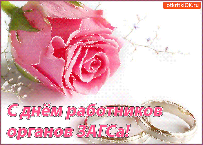 Открытка Открытки на День работников органов ЗАГСа в России - Открытка с днем работников ЗАГСа: розы и кольца | Красивая открытка #20