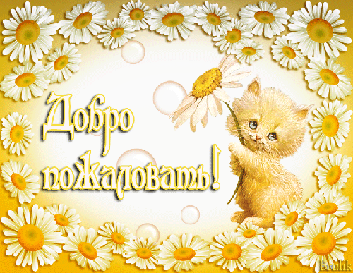Открытка Открытки добро пожаловать - Открытка с котенком и цветами  Поздравления! | Красивая открытка #116