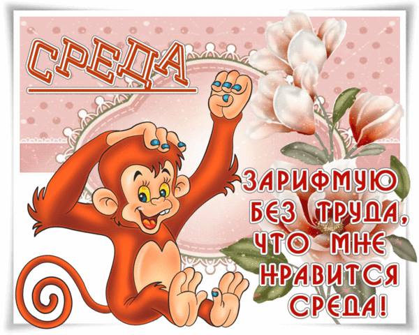 Открытка Открытки на среду - Открытка с обезьянкой и цветами | Красивая открытка #56