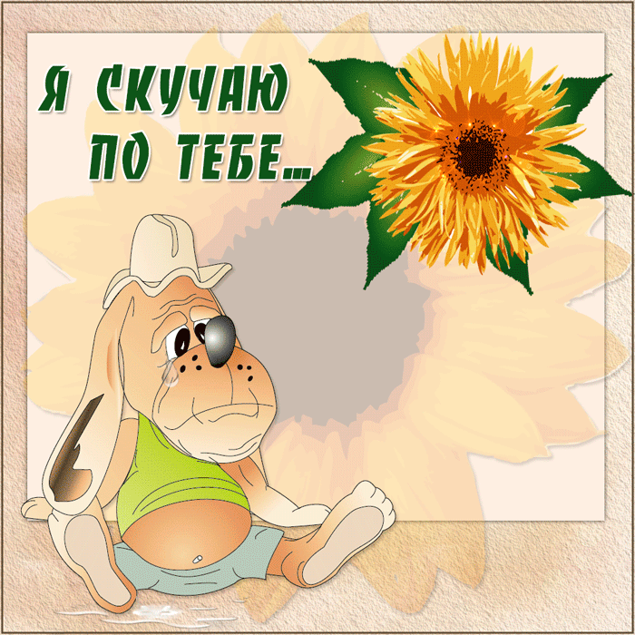 Открытка Скучаю - Открытка с щенком и подсолнухом | Красивая открытка #62