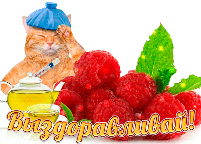 Открытка Открытки скорейшего выздоровления - Котик с градусником и малиной: Открытка с юмором | Красивая открытка #8