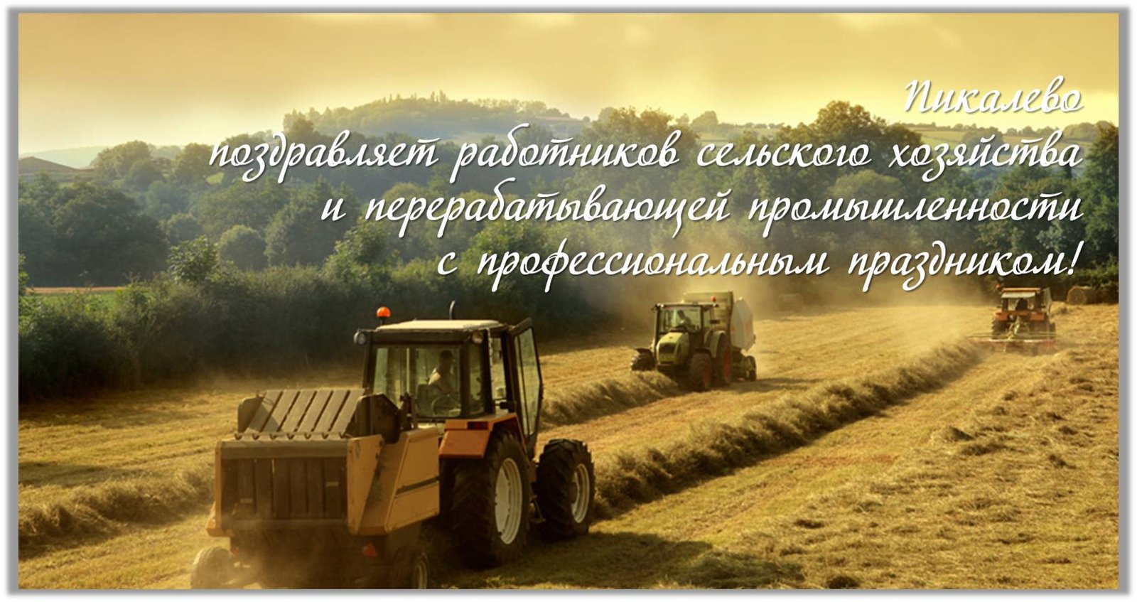 Открытка Открытки на день работников сельского хозяйства и перерабатывающей промышленности  - Поля и тракторы: открытка с поздравлением | Красивая открытка #13