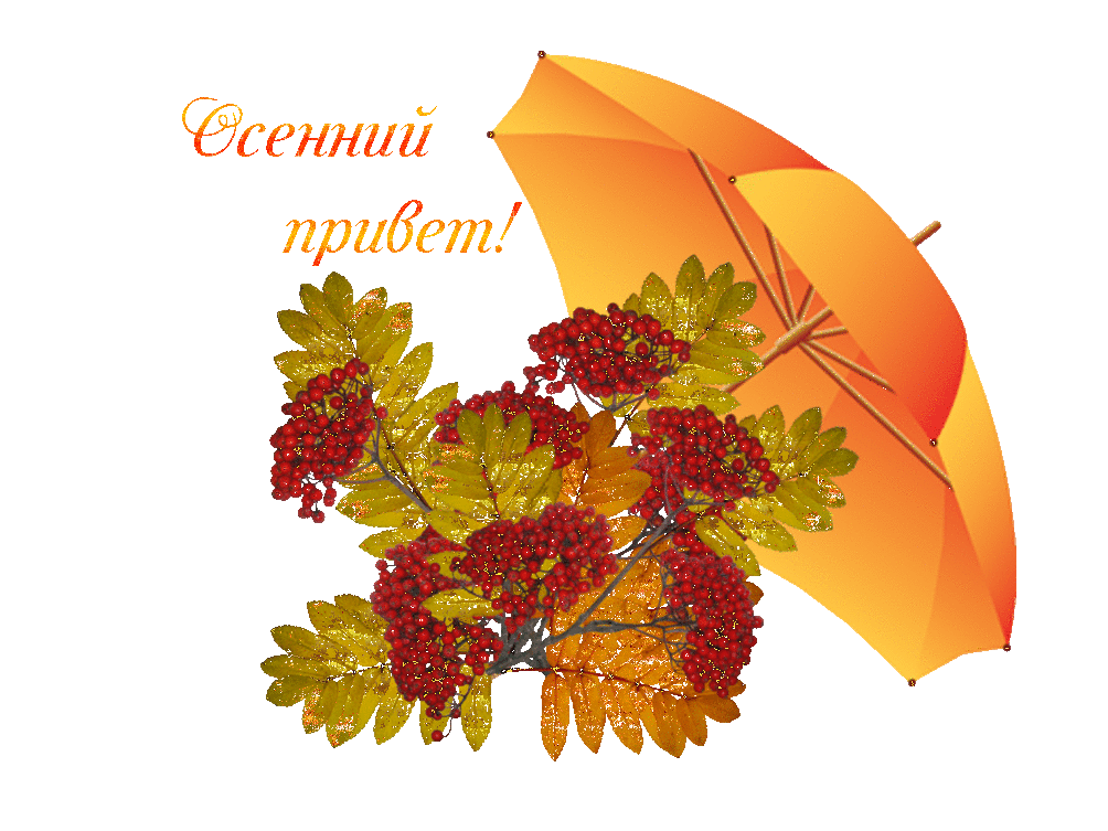 Открытка осенний привет - Рябина и зонт: осенняя открытка с теплом и уютом | Красивая открытка #31