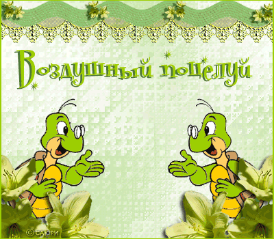 Открытка Целую - Открытка с черепахами: С Днем рождения! | Красивая открытка #95